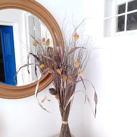 톱 이아